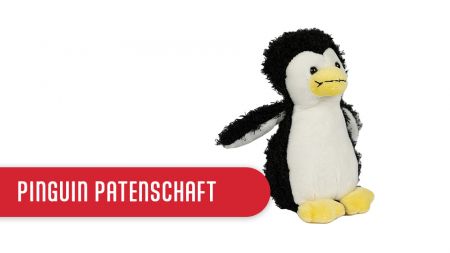 Pinguin-Pate der Bürgerstiftung KREAKTIV